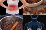 8 Health Benefits & Uses of Anise Seeds for Women โ Backed by Tradition & Science