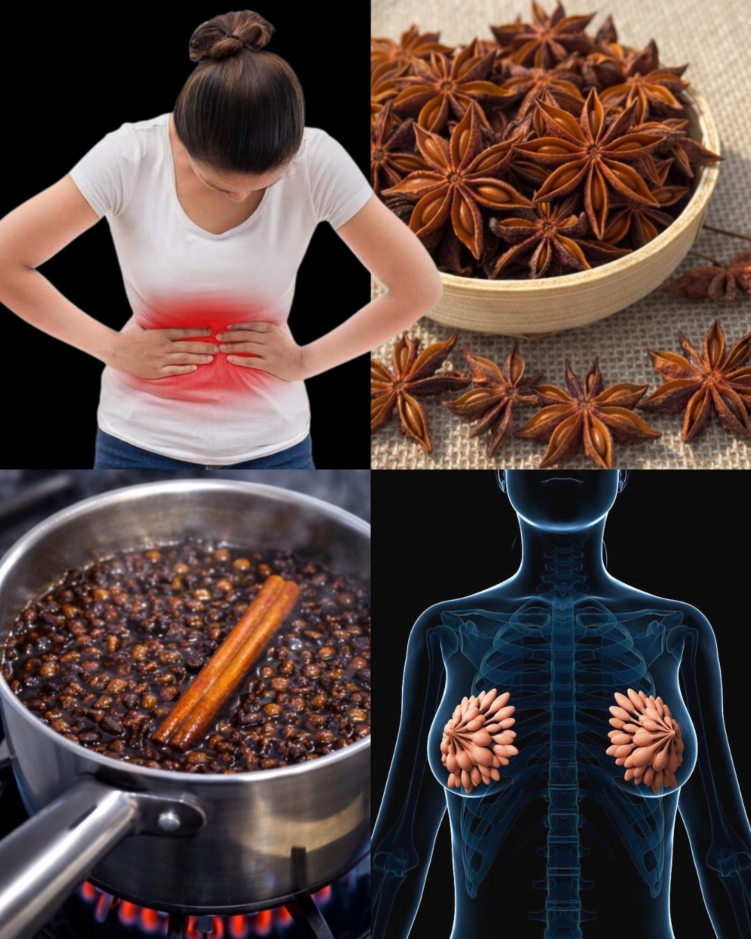 8 Health Benefits & Uses of Anise Seeds for Women — Backed by Tradition & Science
