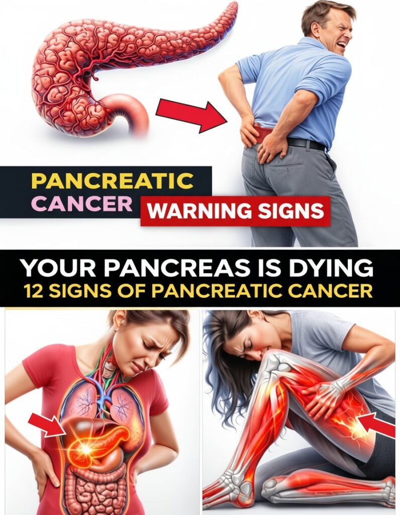 12 Potential Signs of Pancreatic Cancer That May Be Worth Discussing With Your Doctor