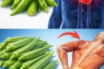Unlock the Power of Okra: 20 Impressive Potential Health Benefits You Might Not Know