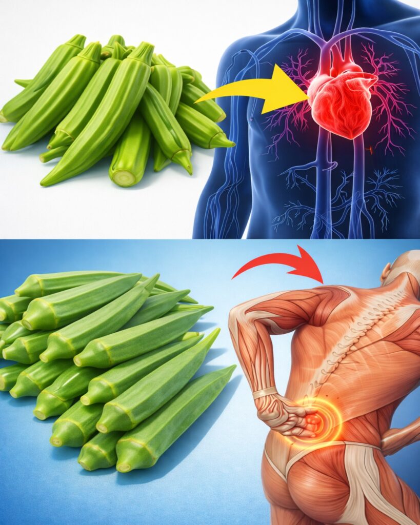 Unlock the Power of Okra: 20 Impressive Potential Health Benefits You Might Not Know