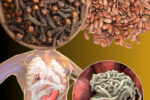 How to Get Rid of Intestinal Parasites (Recipe with Clove and Flax Seeds)