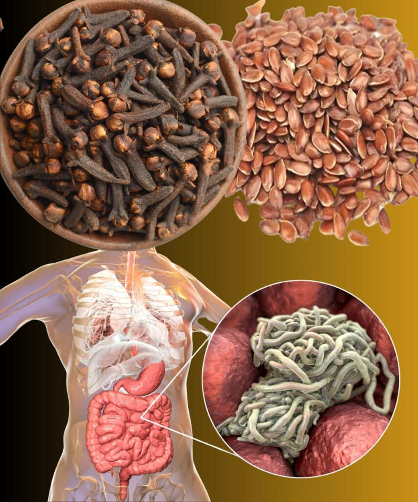 How to Get Rid of Intestinal Parasites (Recipe with Clove and Flax Seeds)