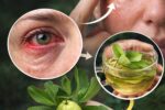 Want Better Vision? Learn How Guava Can Naturally Improve Your Eyesight!