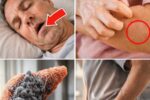 10 Subtle Symptoms of Pancreatic Cancer That Many Adults Overlook – Early Awareness Could Make a Difference