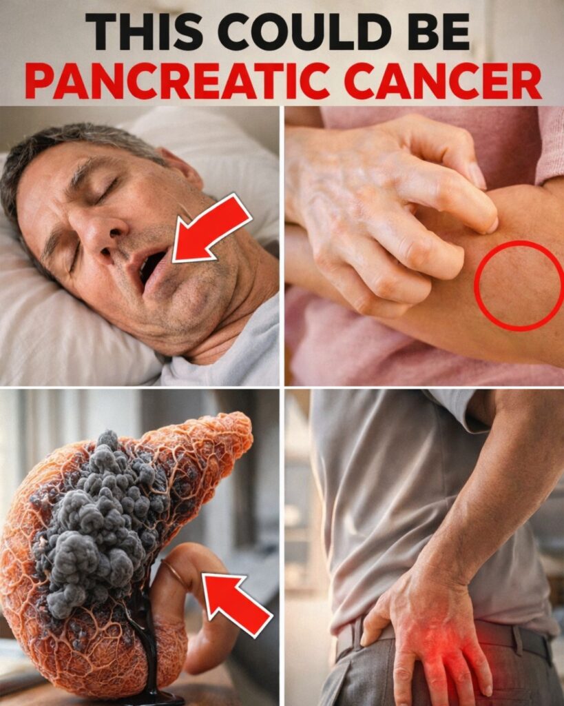 10 Subtle Symptoms of Pancreatic Cancer That Many Adults Overlook – Early Awareness Could Make a Difference