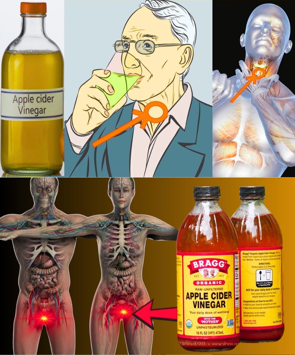 Apple Cider Vinegar: A Simple, Natural Way to Support Your Daily Wellness 🍎✨