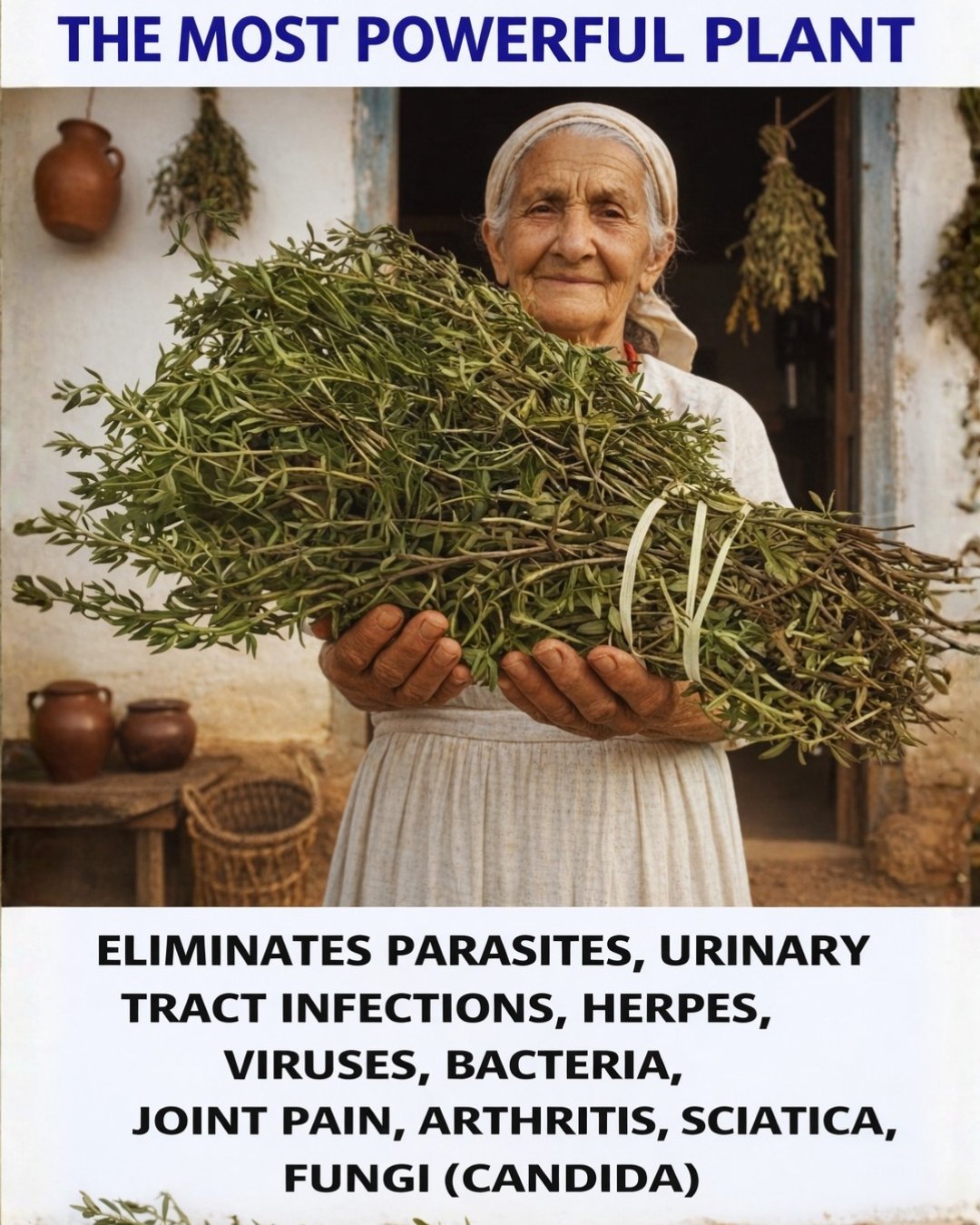 The Most Powerful Medicinal Plant Many People Still Ignore