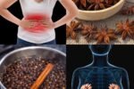 8 Health Benefits & Uses of Anise Seeds for Women — Backed by Tradition & Science