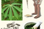 Natural Remedy for Vomiting: Simple Home Treatment Using Cassava Leaves