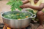 Papaya Leaves Tea: This Traditional Boil-and-Sip Method Might Offer Gentle Daily Support