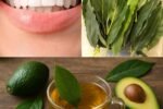 Avocado Leaves Remedy for Gum Problems: Natural Relief for Swollen and Bleeding Gums