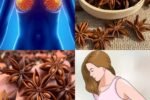 8 Health Benefits of Anise Seeds for Women: A Natural Remedy Backed by Tradition & Science
