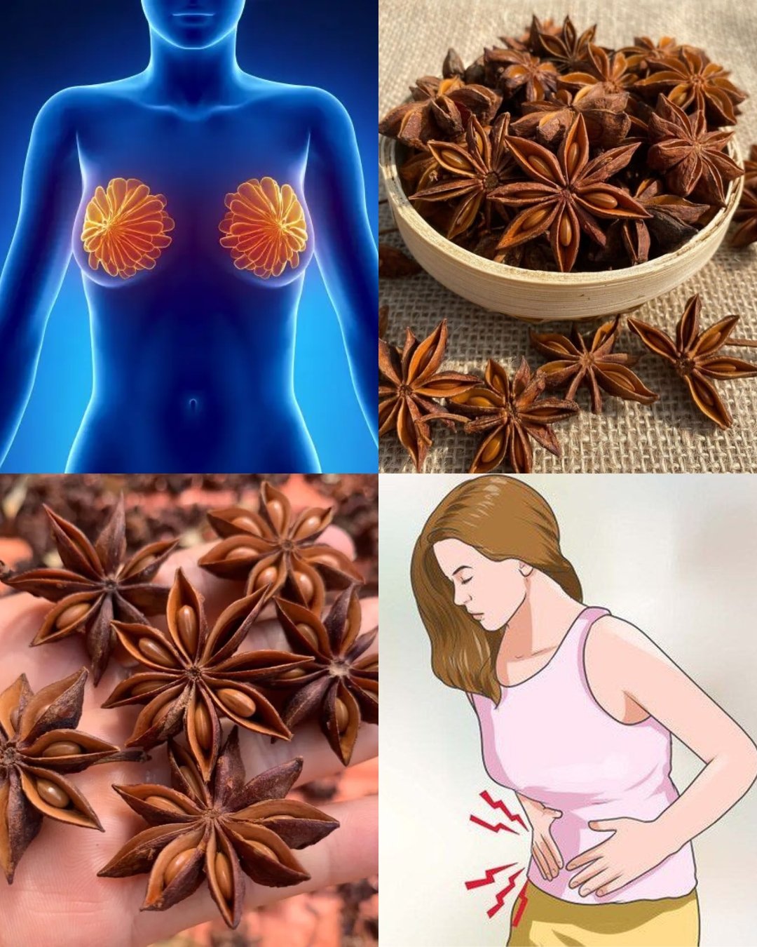 8 Health Benefits of Anise Seeds for Women: A Natural Remedy Backed by Tradition & Science