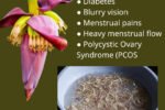 Don’t Miss Out on Banana Blossoms: How to Use Them and Their Health Benefits