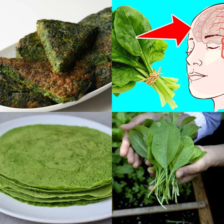 15 Things That May Happen to Your Body If You Eat Spinach Every Day