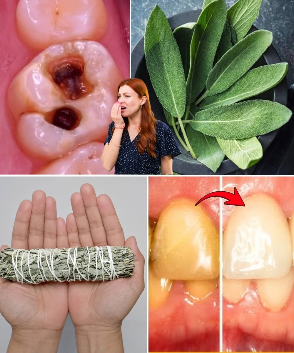 6 Powerful Oral Health Benefits of Sage Leaves: Nature’s Herbal Support for Teeth and Gums