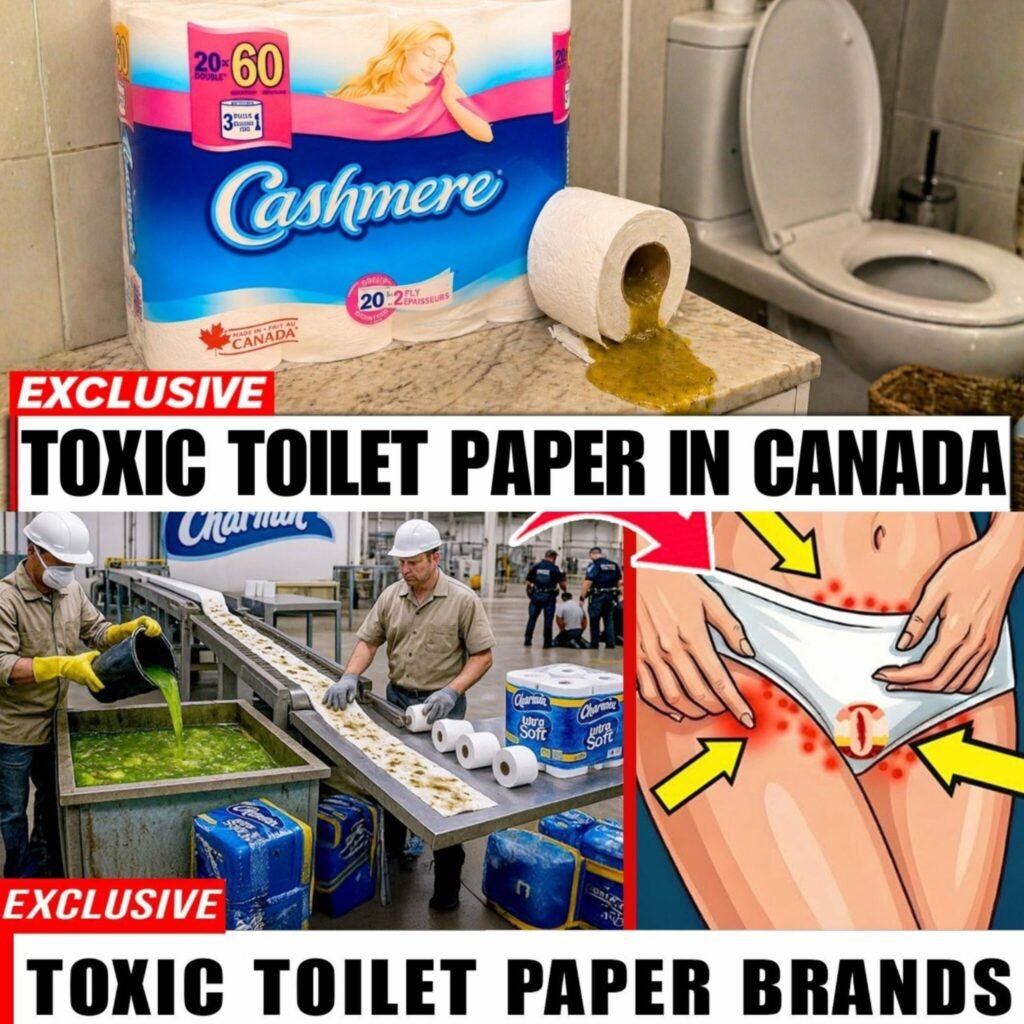 Choosing Safer Toilet Paper: What to Look For and What to Avoid
