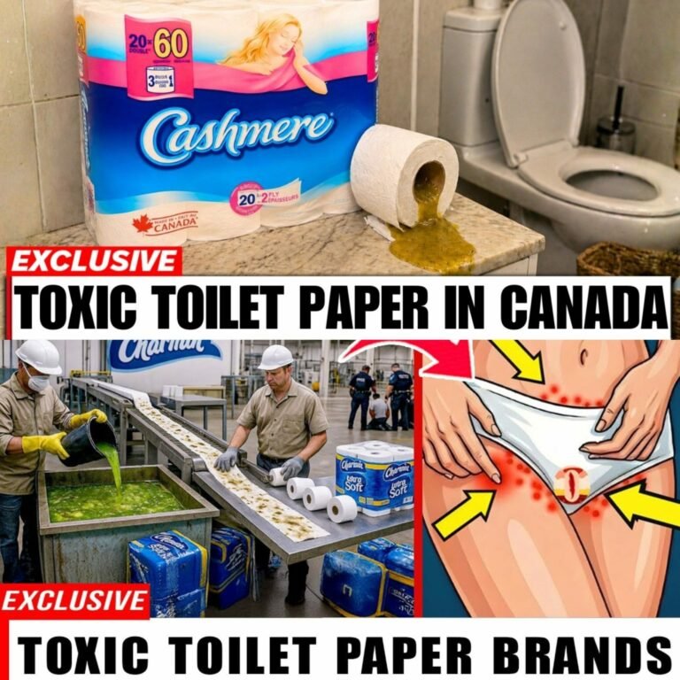 Choosing Safer Toilet Paper: What to Look For and What to Avoid